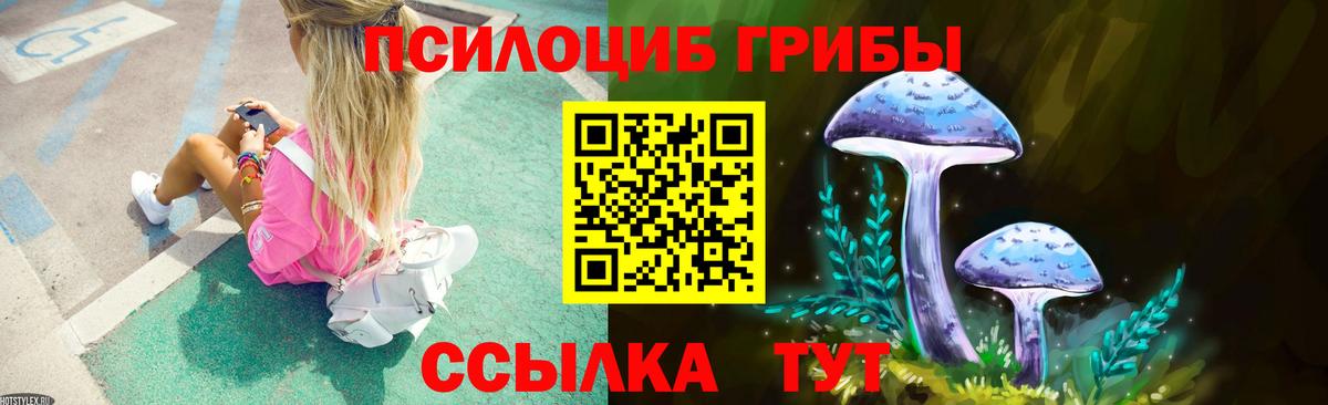 Галлюциногенные грибы GOLDEN TEACHER  закладки  Кольчугино  Вход с VPN 
